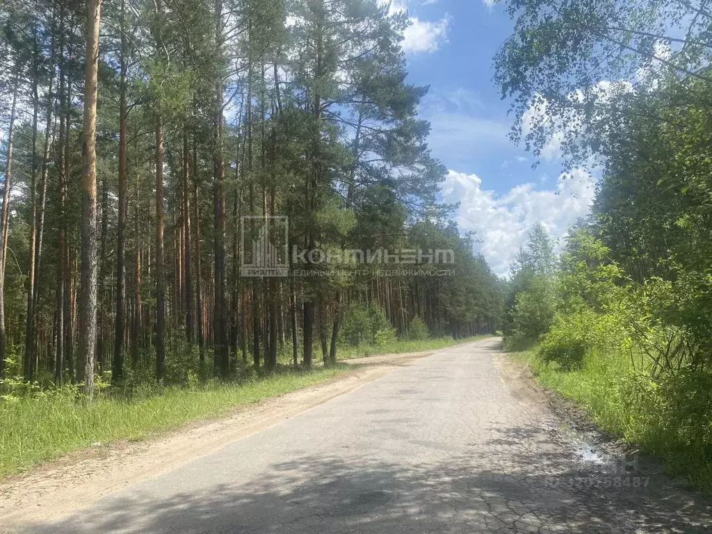 Участок в Владимирская область, Ковровский район, Новосельское с/пос, ... - Фото 2