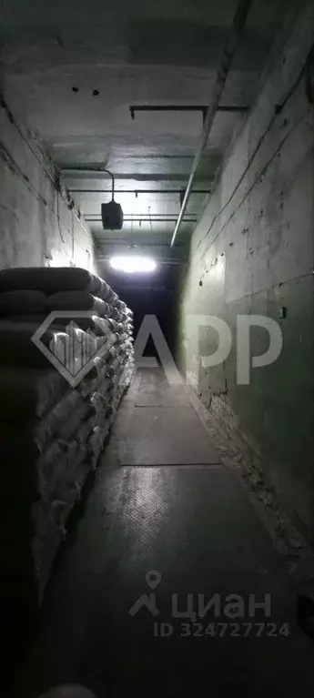 Производственное помещение в Татарстан, Казань ул. Восстания, 19 (330 ... - Фото 2