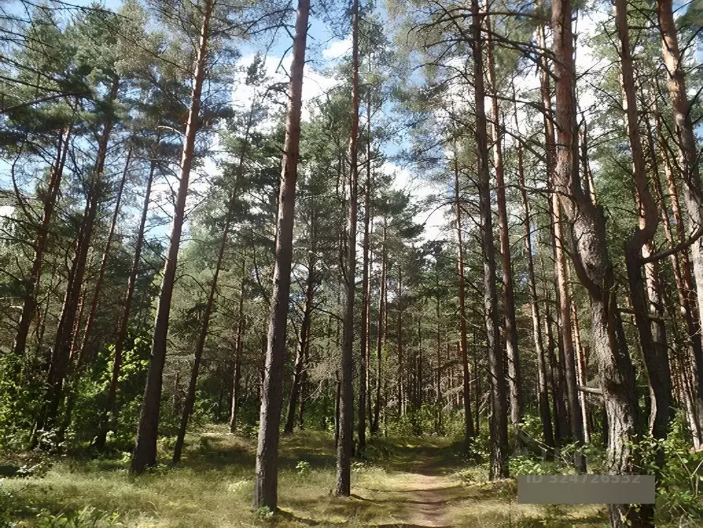 Дом в Псковская область, Островский район, Бережанская волость, д. ... - Фото 1