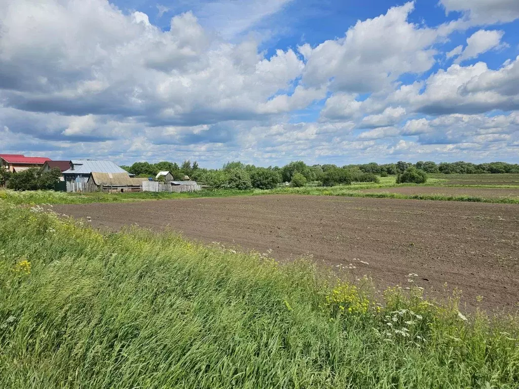 Участок в Московская область, Луховицы муниципальный округ, д. ... - Фото 2