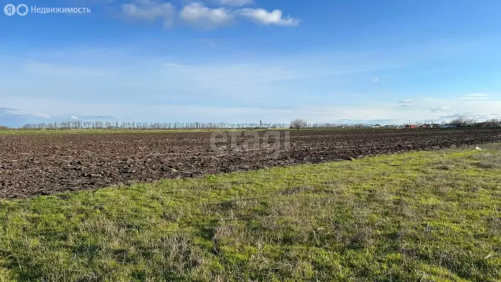 Участок в муниципальное образование Краснодар, хутор Ленина (4 м) - Фото 0