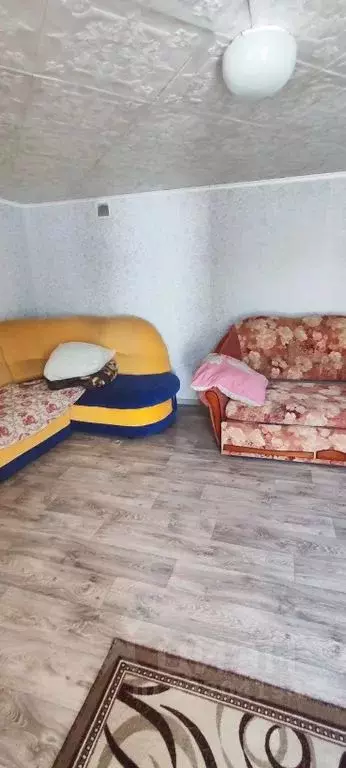 Дом в Алтайский край, Яровое ул. Кирова, 66 (25 м) - Фото 2