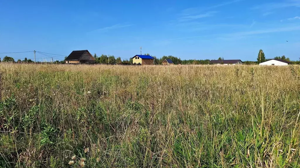 Участок в Новгородская область, Новгородский район, Ракомское с/пос, ... - Фото 0