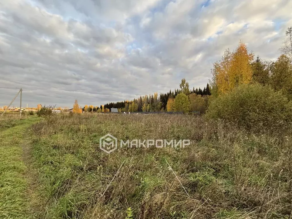 Участок в Кировская область, Слободской район, Шиховское с/пос, д. ... - Фото 1