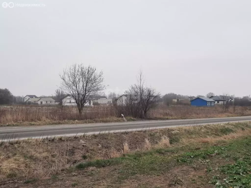 Участок в Калининградская область, Гурьевский муниципальный округ, ... - Фото 1
