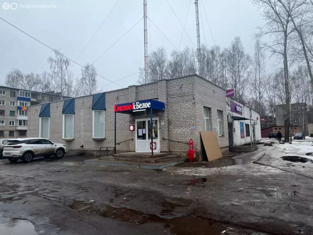 Помещение свободного назначения (110 м) - Фото 0