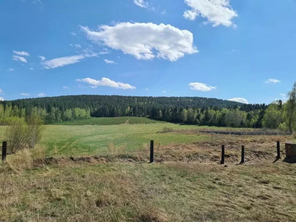 Участок в Иркутская область, Шелеховский район, Баклашинское ... - Фото 2