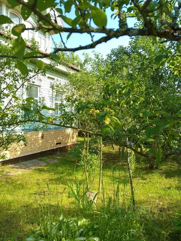 Дом в Ярославская область, Борисоглебский рп ул. Речная, 10 (46 м) - Фото 1