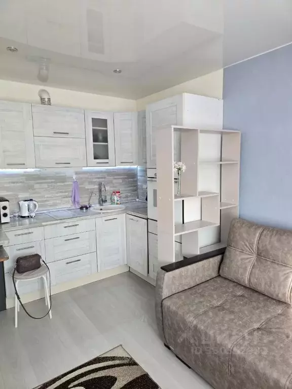 Студия Московская область, Домодедово Южный мкр, ул. Курыжова, 14к1 ... - Фото 2