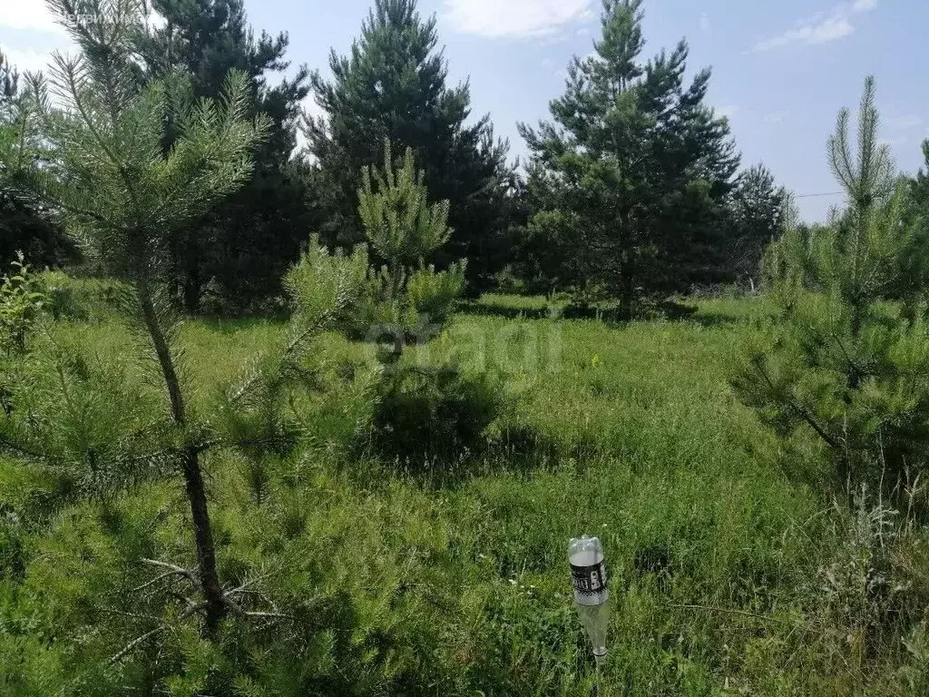 Участок в село Коренёвщино, КП Коренёвщино (11.13 м) - Фото 2