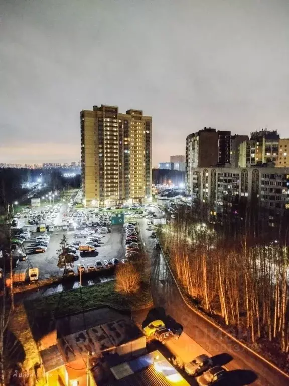 2-к кв. Ленинградская область, Всеволожский район, д. Новое Девяткино ... - Фото 0