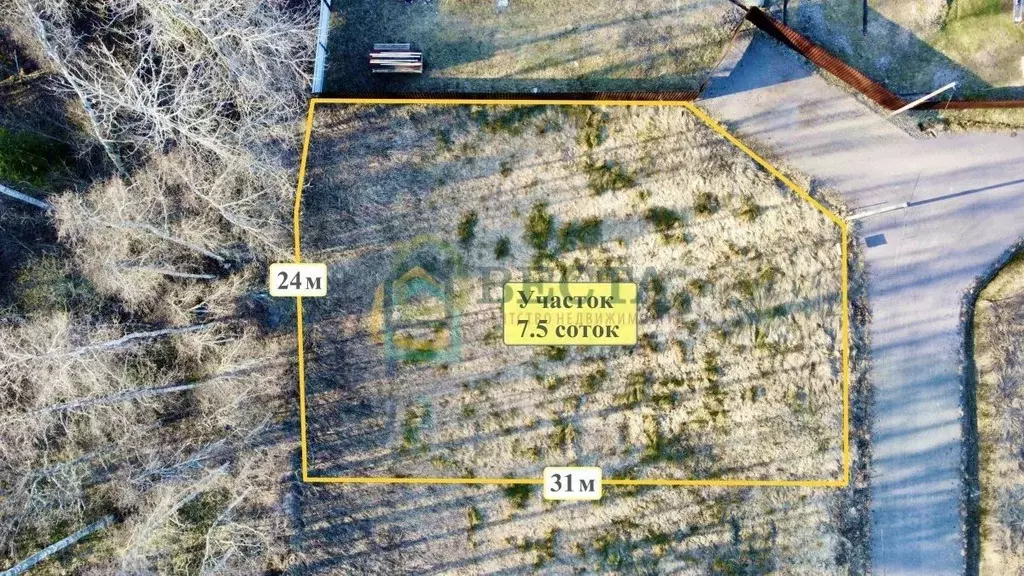 Участок в Ленинградская область, Приозерский район, Красноозерное ... - Фото 2