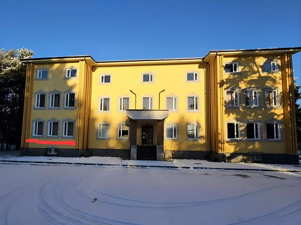 Помещение свободного назначения в Ленинградская область, Приозерский ... - Фото 0