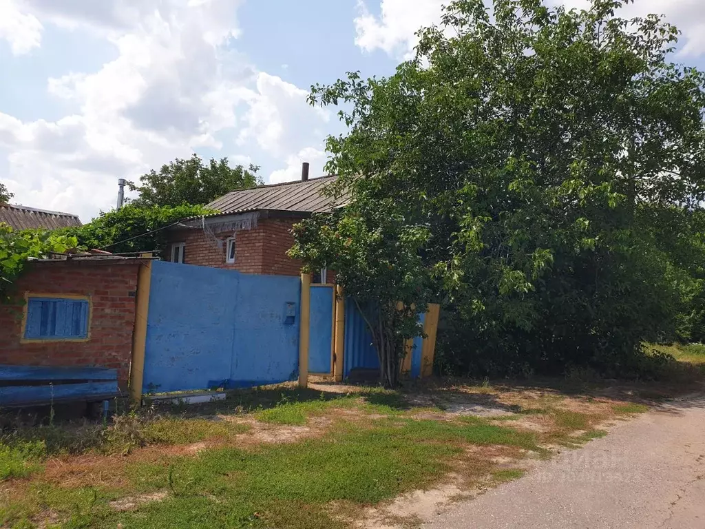 Дом в Белгородская область, Валуйский городской округ, с. Лавы ул. ... - Фото 0