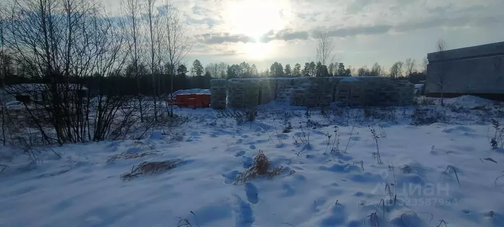 Участок в Новосибирская область, Новосибирский район, Барышевский ... - Фото 2