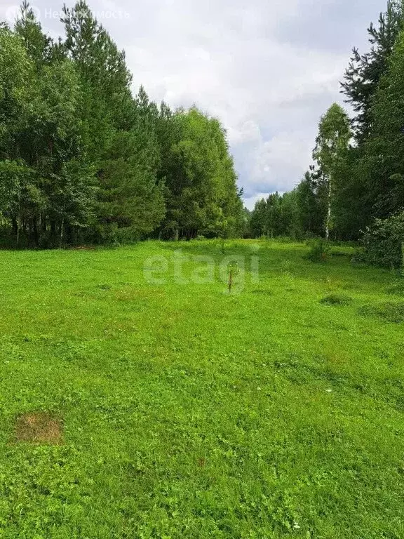 Участок в Турочакский район, село Кебезень (560.2 м) - Фото 1