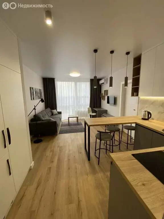 Квартира-студия: Заозёрное, улица Аллея Дружбы, 24 (30.5 м) - Фото 2
