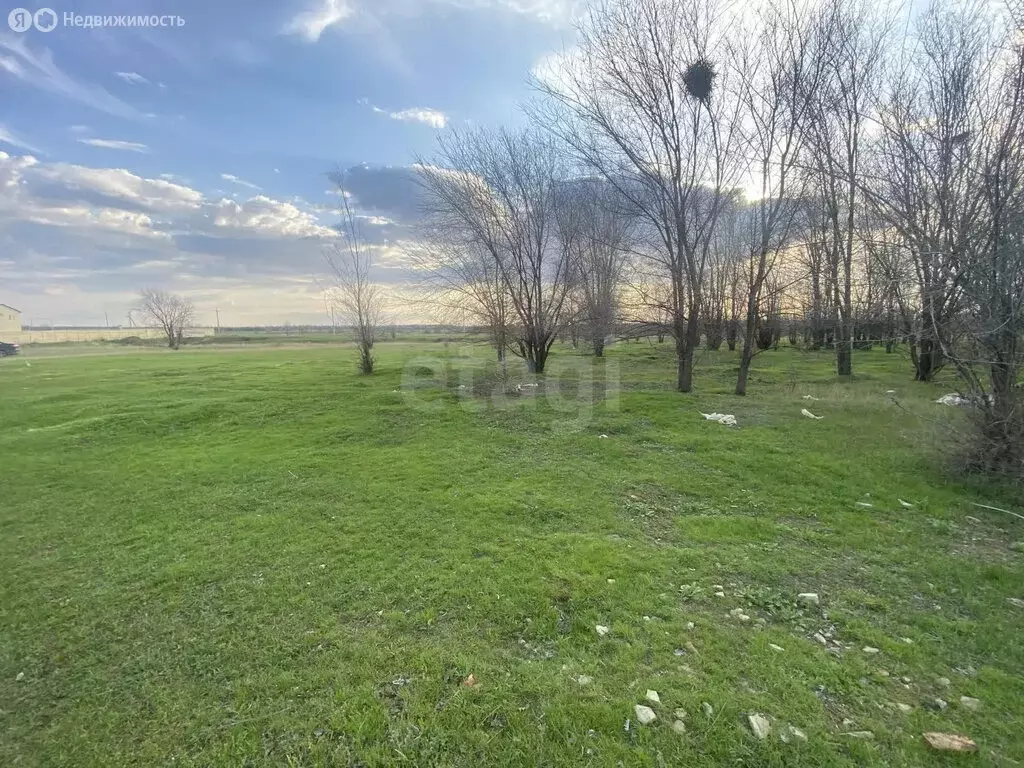 Участок в Энгельсский район, Красноярское муниципальное образование, ... - Фото 2