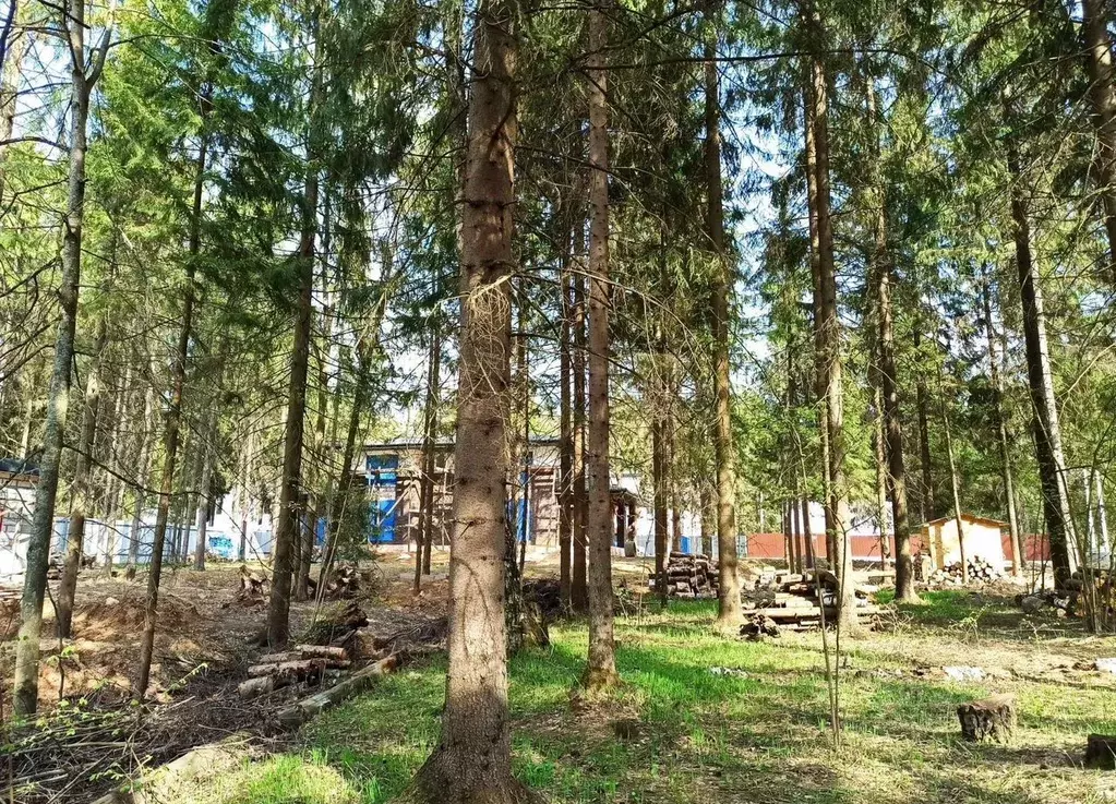 Участок в Москва Вузсервис СНТ, 102 (10.0 сот.) - Фото 0