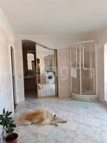 5-к кв. Пермский край, Пермь ул. Революции, 3/5 (122.0 м) - Фото 2