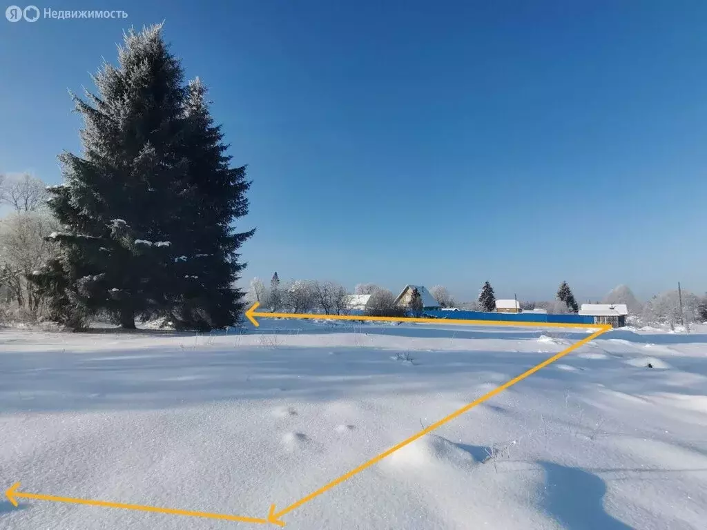 Участок в Вындиноостровское сельское поселение, деревня Хотово, 46 (16 ... - Фото 1