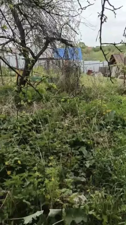 Участок в Тульская область, Тула городской округ, с. Обидимо ул. ... - Фото 1