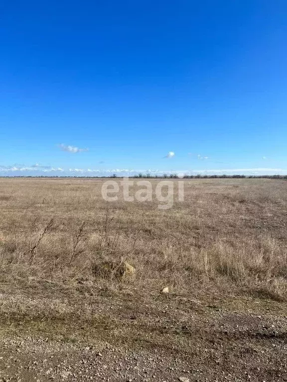 Участок в Крым, Черноморский район, с. Межводное ул. Спортивная (150.0 ... - Фото 0