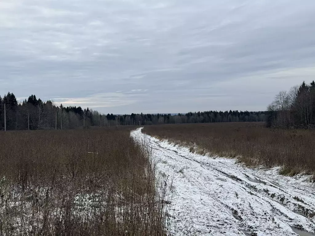 Участок в Пермский край, Пермский муниципальный округ, пос. Сылва  ... - Фото 1