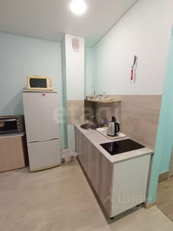 Студия Башкортостан, Уфимский район, с. Михайловка Новоуфимская ул., ... - Фото 1