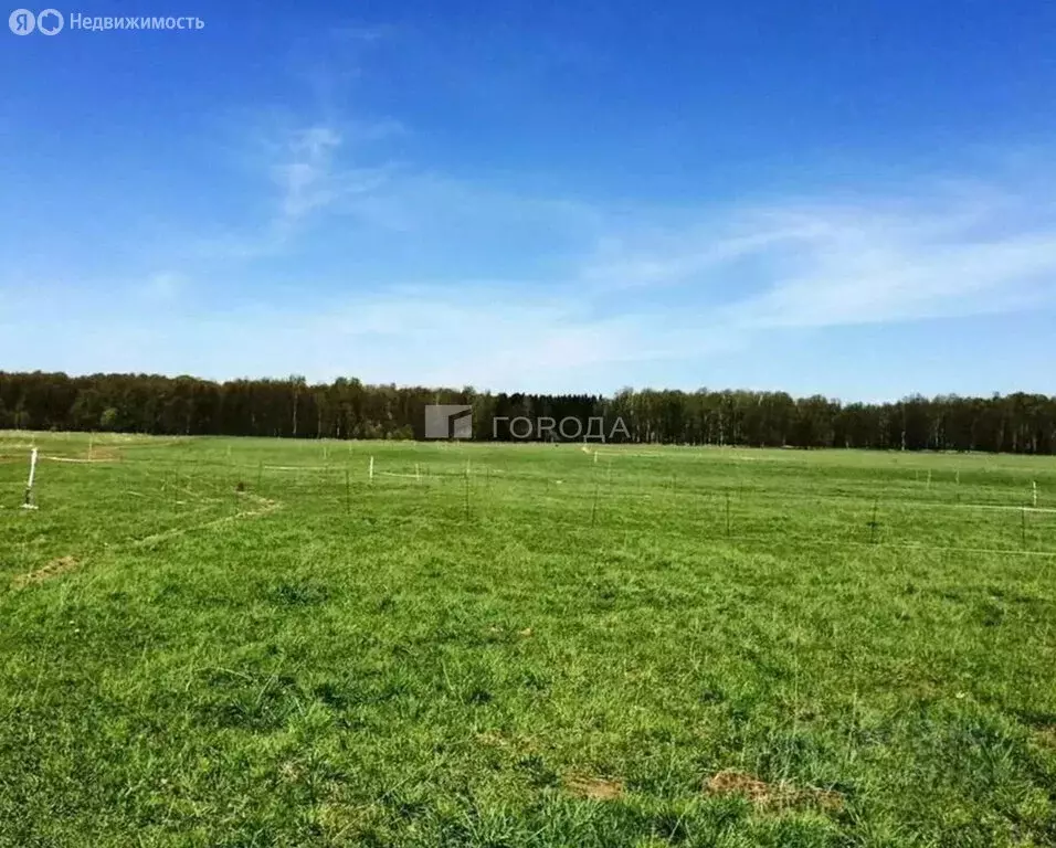 Участок в Первомайский район, посёлок Новый, улица Есенина, 87 (12 м) - Фото 1