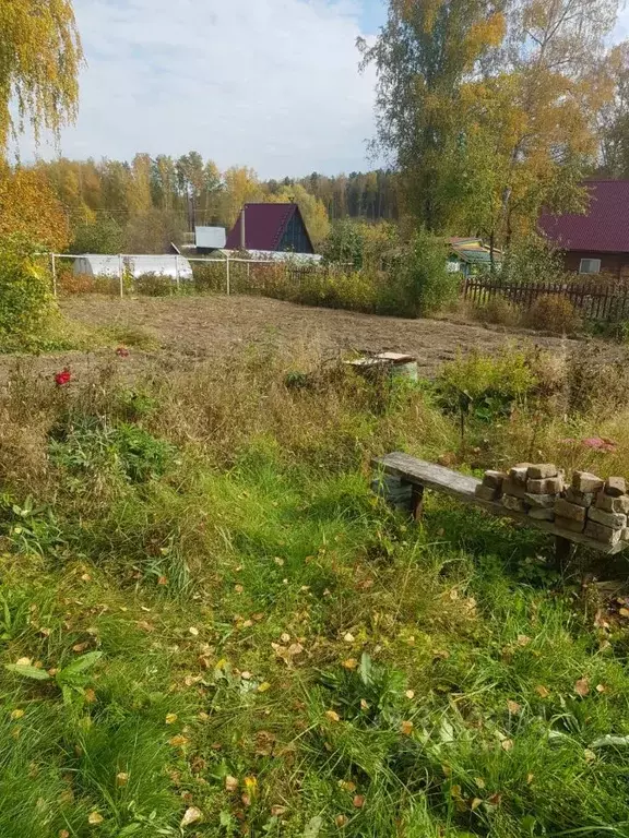 Дом в Новосибирская область, Новосибирск Русская березка СНТ,  (40 м) - Фото 1