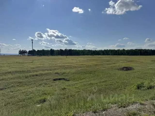 Участок в Иркутская область, Усольский район, Тайтурское муниципальное ... - Фото 2