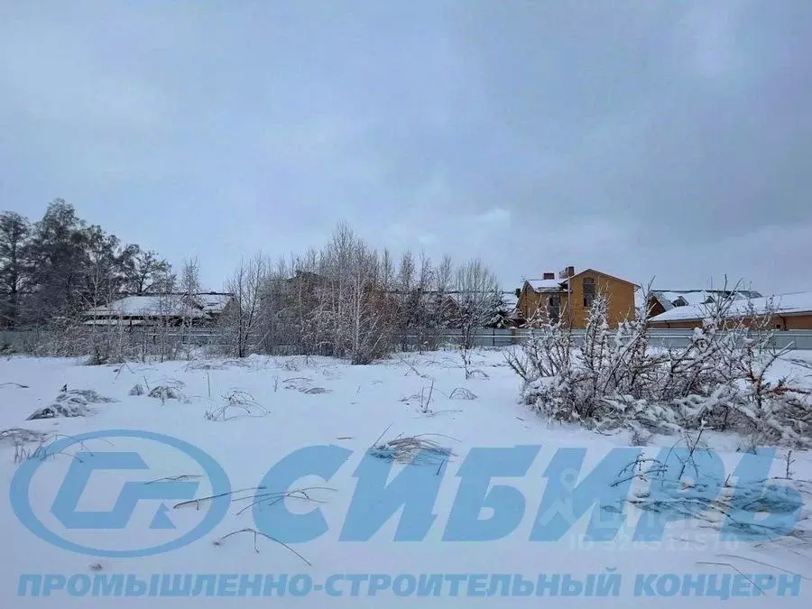 Участок в Новосибирская область, Новосибирский район, Морской ... - Фото 1