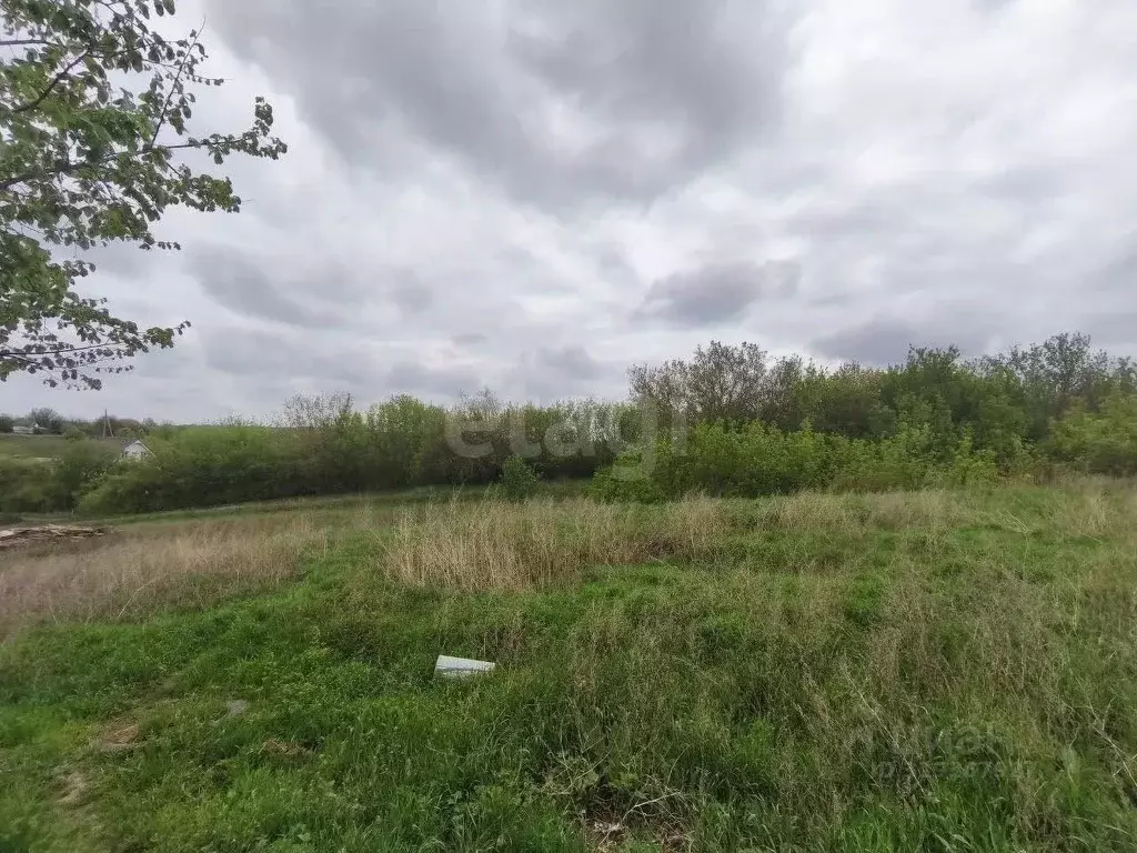 Участок в Белгородская область, Белгородский район, с. Стрелецкое, ... - Фото 0