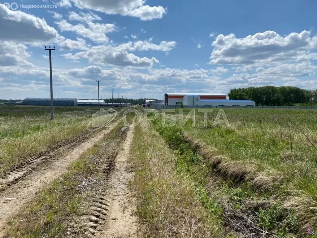 Участок в Тюменский муниципальный округ, село Горьковка (100 м) - Фото 2