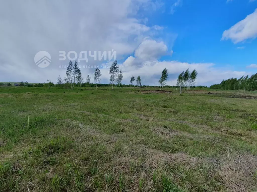 Участок в Чувашия, Чебоксарский муниципальный округ, с. Хыркасы  ... - Фото 2