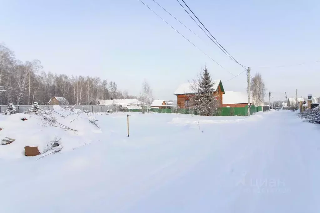 Участок в Тюменская область, Тюмень Сигнал садовое товарищество, ул. ... - Фото 2