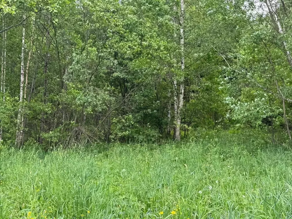 Участок в Московская область, Богородский городской округ, д. ... - Фото 0