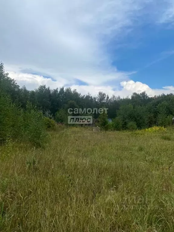 Участок в Ивановская область, Юрьевецкий район, Соболевское с/пос, с. ... - Фото 2
