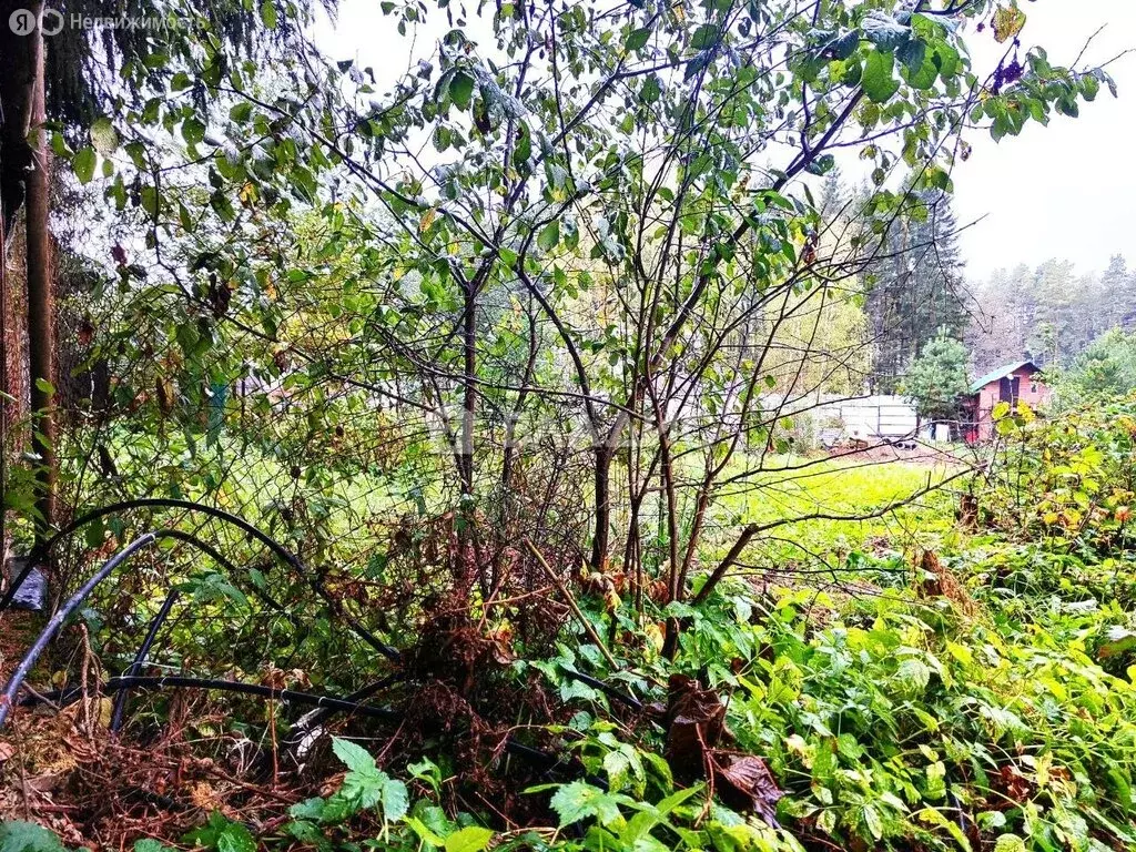 Участок в Москва, ТАО, Краснопахорский район, ОНТ Заря (4.95 м) - Фото 2