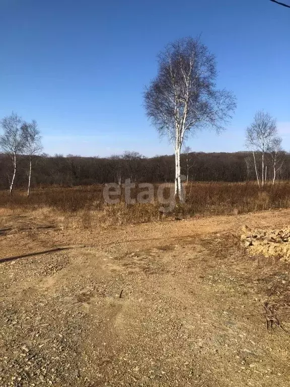 Участок в Приморский край, Надеждинский район, Аргус СНТ ул. 33-я ... - Фото 0