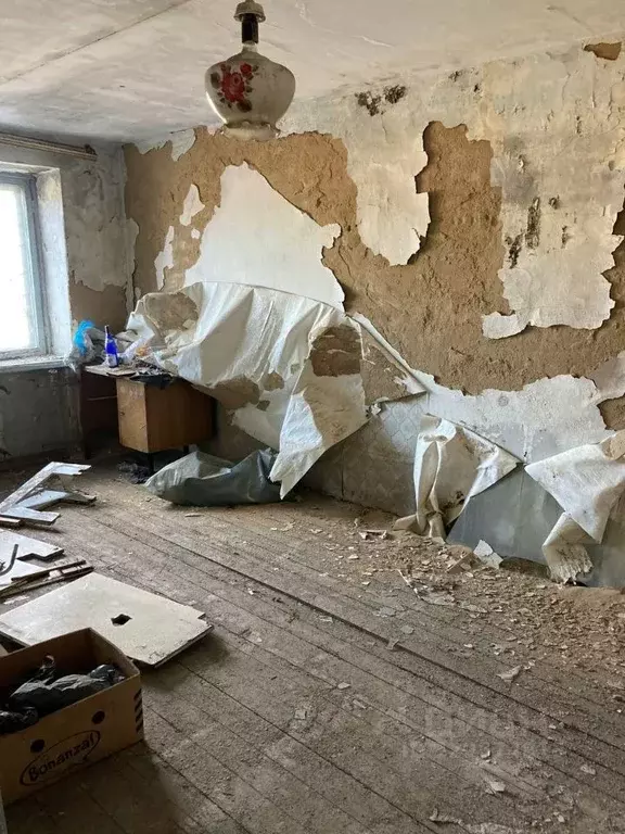 Помещение свободного назначения в Забайкальский край, Читинский ... - Фото 1