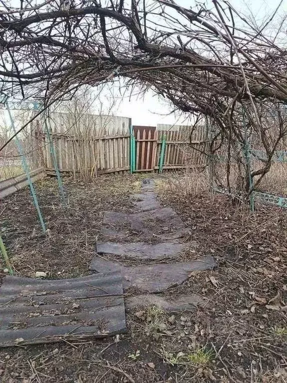 Участок в Курская область, Октябрьский район, Черницынский сельсовет, ... - Фото 2