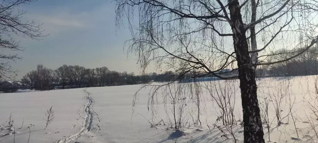 Участок в Московская область, Щелково  (6.0 сот.) - Фото 0