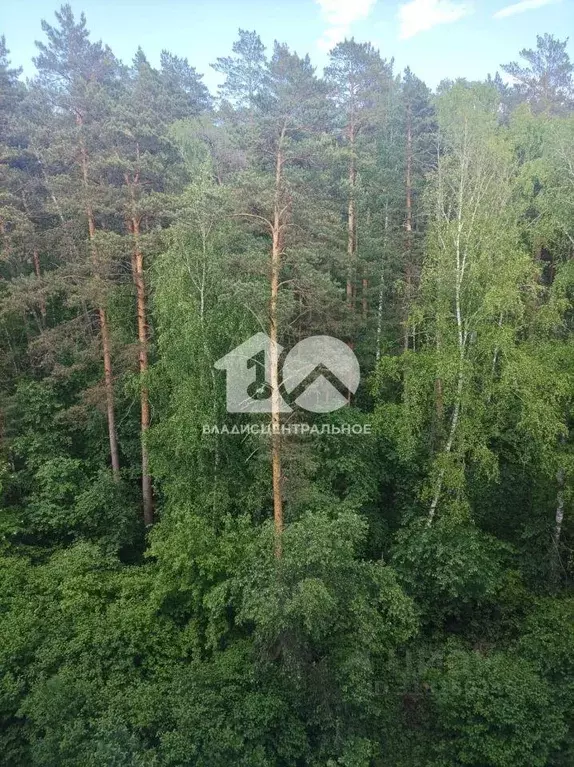 Квартира, 1 комната, 39 м - Фото 0