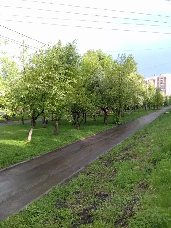 Студия Иркутская область, Иркутск Депутатская ул., 56 (12.0 м) - Фото 2