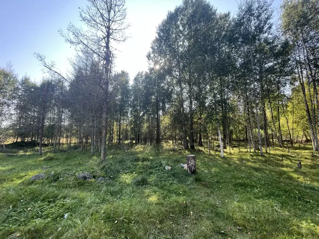 Участок в Ленинградская область, Приозерский район, Ларионовское с/пос ... - Фото 1