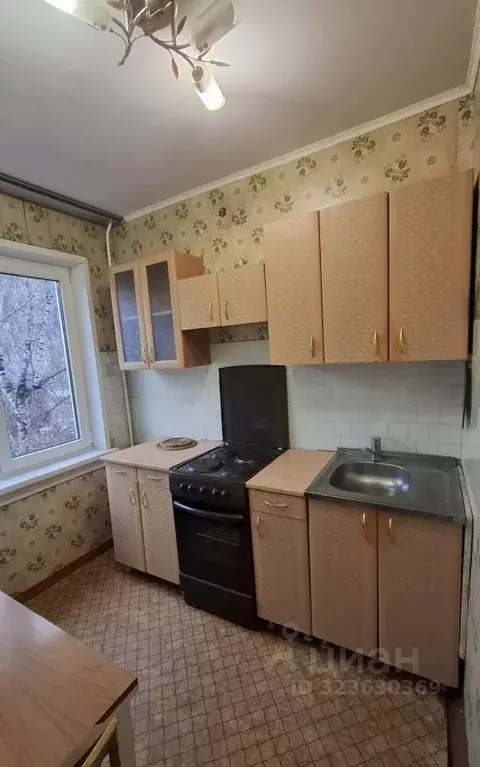 1-к кв. Новосибирская область, Новосибирск ул. Бориса Богаткова, 204 ... - Фото 1