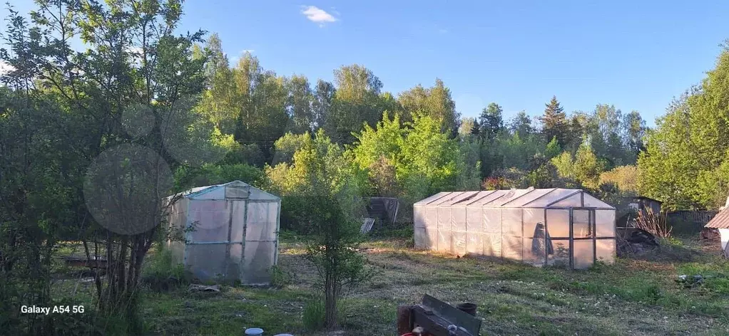 Участок 12 сот. (СНТ, ДНП) - Фото 1