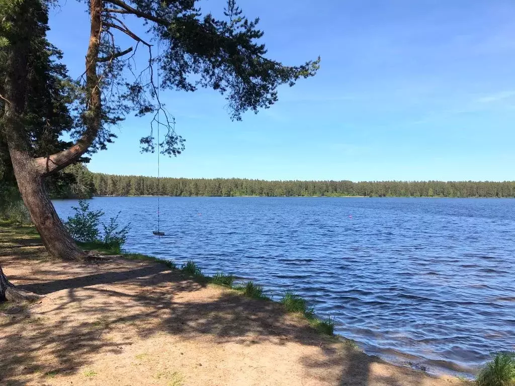 Дом в Ленинградская область, Приозерский район, Ларионовское с/пос, ... - Фото 2